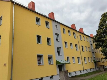 **frisch saniert** 4-Raum Wohnung in Ballenstedt