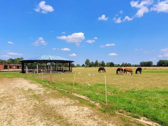 Professionelle Reit- und Zuchtanlage im Kreis Soest