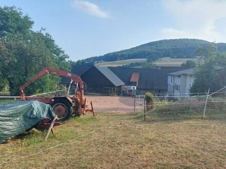 Kleiner Hof für Pferdehaltung; geeignet für Menschen mit Platzbedarf in Tann-Habel !