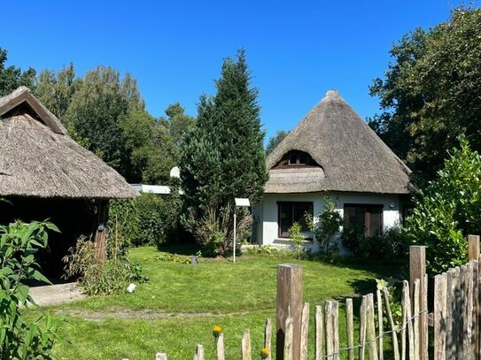 Kleines reetgedecktes Achteck-Haus direkt am Wald in Born a. Darß