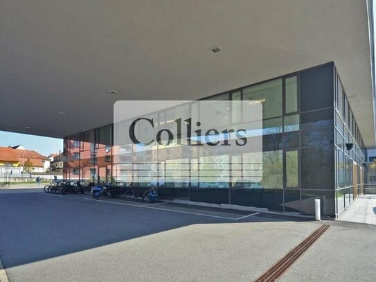 Moderne Bürofläche in idyllischer Umgebung - COLLIERS