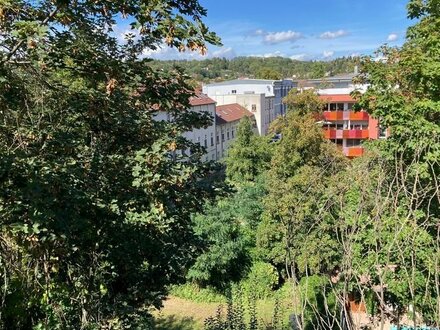 Wohnen im 1. OG- stadtnah im Grünen