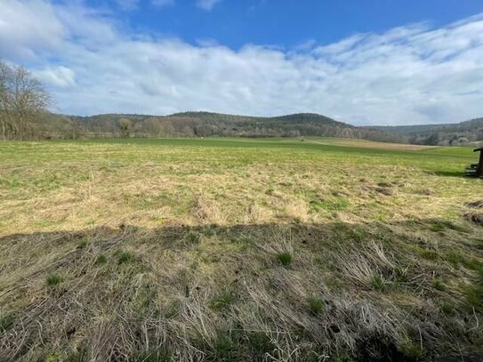 Charmantes Einfamilienwohnhaus in absolut, idyllischer Feldrandlage