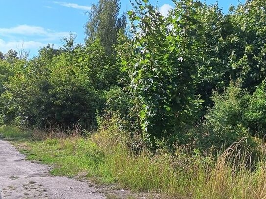 Grundstück in Saalfeld zu verkaufen