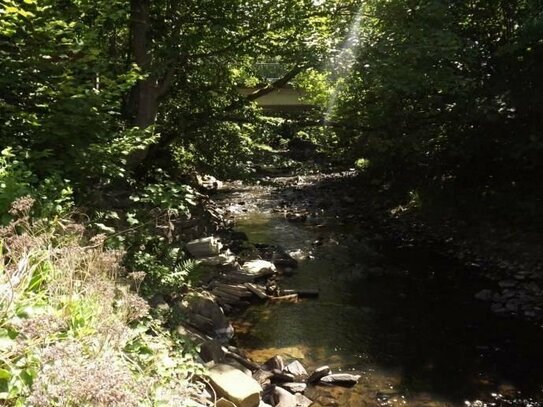 VERÄUSSERT! uriges/stilvolles kleines 1-FH/Ferienhaus in idyllischer und absolut ruhiger Lage, fast direkt am Hevefluss