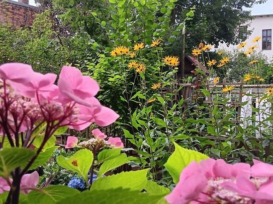 1. Zi. Wohnung mit Blick auf Park für Senioren ab 60 besonders geeignet