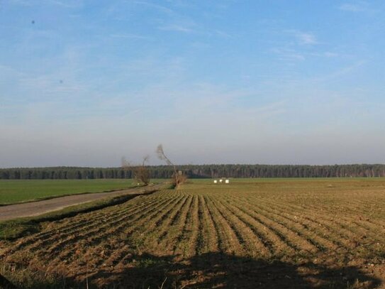 5 Ackerlandflächen, die sich in der Umgebung von Aken und Reppichau im Osternienburger Land befinden