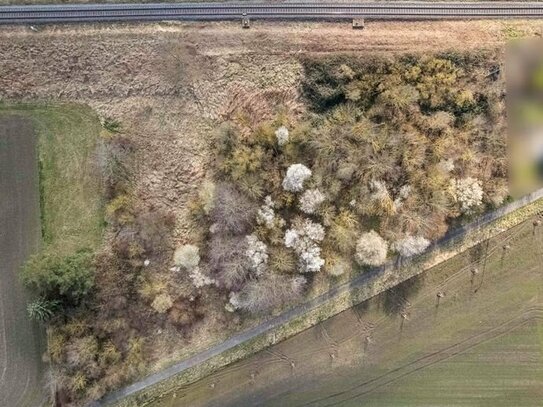 "Naturnahes Grundstück am Bahnhof: Raum für Ihre Träume"