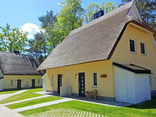 Neubau-Reetdachhäuser auf Usedom ohne Käuferprovision
