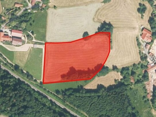 Verkaufe 1,43 ha Grünland/Ausgleichsfläche/Wiese in Zachenberg (REG)