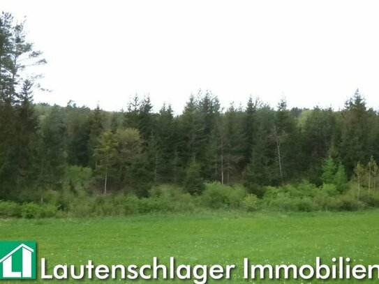 Ihr eigener Wald! Mischwald bei Velburg - Ronsolden