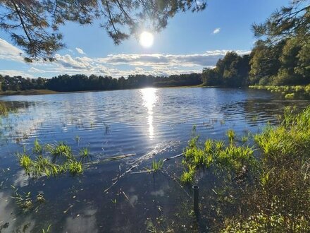 Grundstück im Wochenendgebiet Würmsee! (MA-6266)