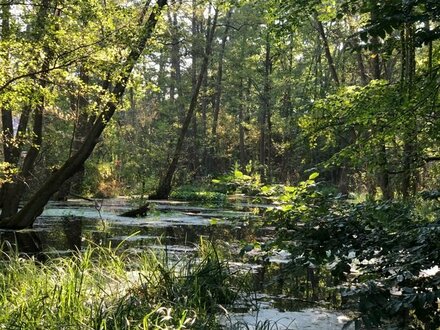 Povisionsfrei: Baugrundstück in Naturlage am Flüsschen