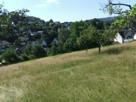 1 A-Grundstück in super Südlage, flach und mit unverbaubarem Fernblick am Rande von KREUZTAL (zum Urlaub machen) !!