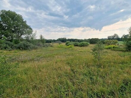 7461m² Bauland Traumlage Feldblick in Neubrandenburg mit B Plan