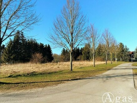 Bauträgerfreies noch zu teilendes ca. 770m² großes Grundstück in Ostseenähe