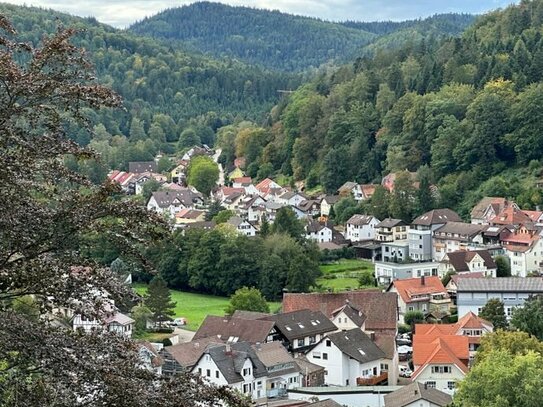 * aller guten Dinge sind zwei* Doppelapartment mit traumhafte Aussicht über Bad Herrenalb