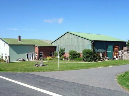 Beste LAGE, guter ZUSTAND, schöner CHARAKTER: Gepflegter Resthof in Friedrichskoog / Nordsee