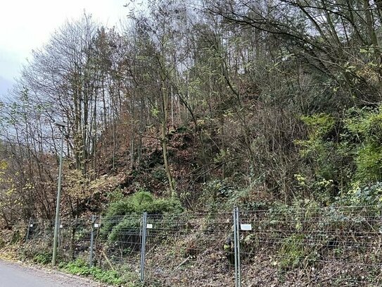 Baugrundstück in ruhiger Ortslage von Bad Dürkheim - Hardenburg