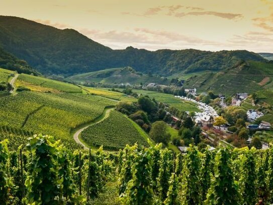 Verkauf in einem Weindorf bei Altenahr (nahe Bad Neuenahr-Ahrweiler): 3*-Hotel, ca. 42 Zimmer - Hohes Entwicklungspoten…