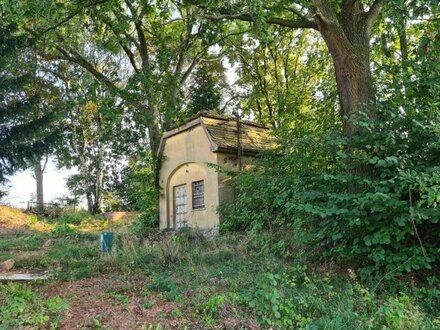 Baugrundstück mit Baumbestand und vorhandenem Keller