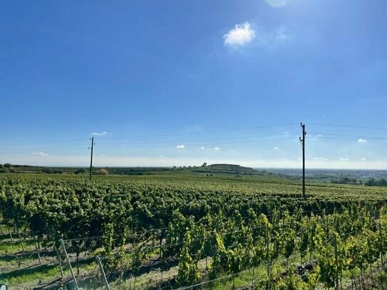 - Reserviert- Großes Grundstück in Weinbergs Lage mit Aussicht , Bad Dürkheim