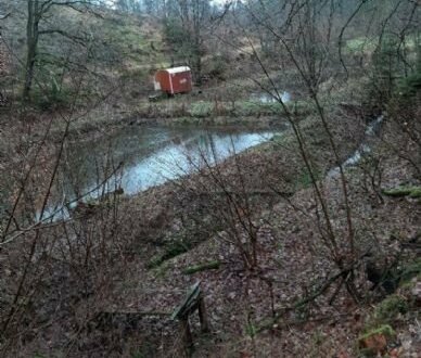 Wiesen-/Waldgrundstück mit älteren Teichen im Mengeringhäuser Stadtwald