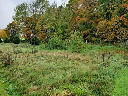 Baugrundstück am Waldrand zwischen Greifswald, Anklam und Wolgast