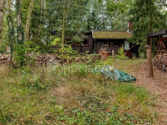 Rustikales Einfamilienhaus mit viel Potenzial in grüner Lage vom Bleckeder Moor