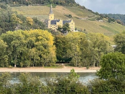 Modernes Wohnen mit Blick auf den Rhein und Schloss Arenfels