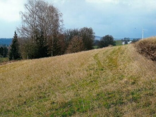 Großes Grundstück als Bauerwartungsland