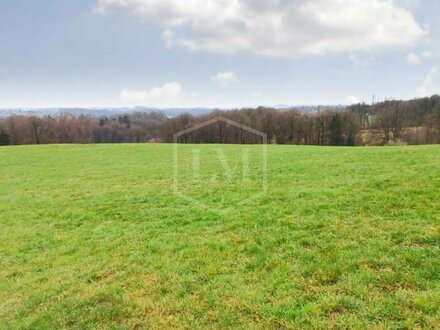 Wald- und Grünlandflächen in Wermelskirchen