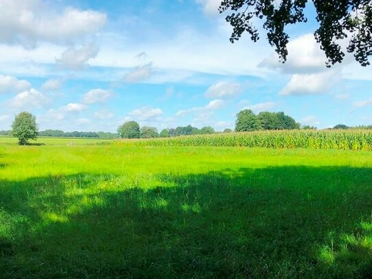 Landwirtschaftliche Fläche in Randlage von Cloppenburg