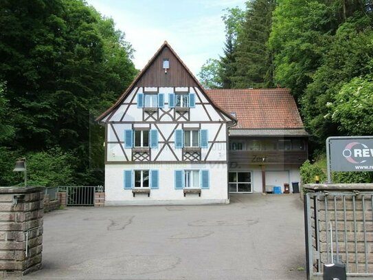 Historische Mühle - Alleinlage - in Blumberg: Renovierte Gewerbeimmobilie mit Charme und Potenzial zur Wohnnutzung!