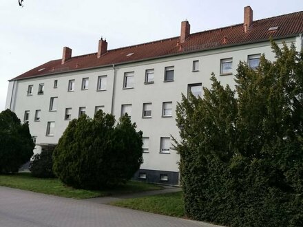 Schöne 4 Zimmer Wohnung in Sedlitz zu vermieten - Wohlfühlen im Grünen zwischen den Seen