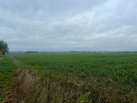 Toplage im Gewerbegebiet mit kurzer Verkehrsanbindung zur BAB 9 und BAB 38