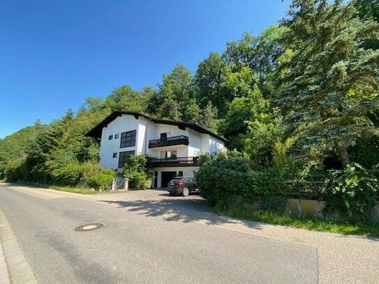 Herrenhaus mit unverbaubarem Flussblick - eine der schönsten Lagen in Bad Abbach