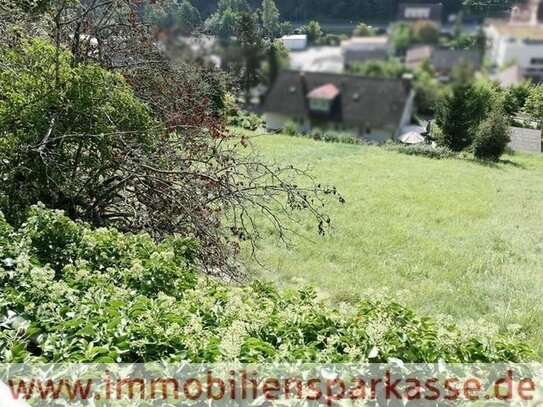 Großes Grundstück, tolle Aussicht!