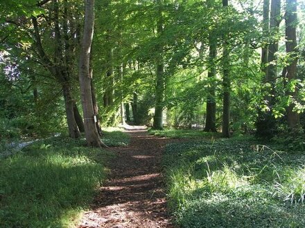 Waldgrundstücke im Landkreis Starnberg, (Machtlfing und Traubing)