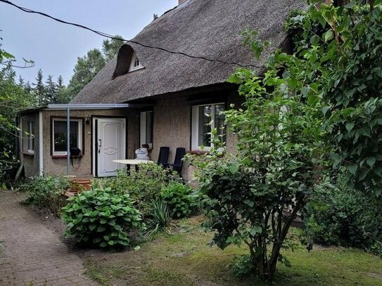 Reetdachhaus mit Weitblick in idyllischer Lage bei Anklam