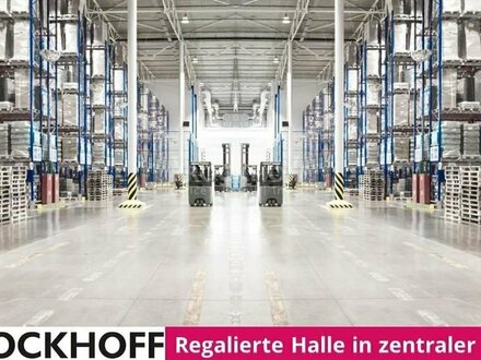 Regalierte Halle in zentraler Lage mit ausreichend Rampentoren!