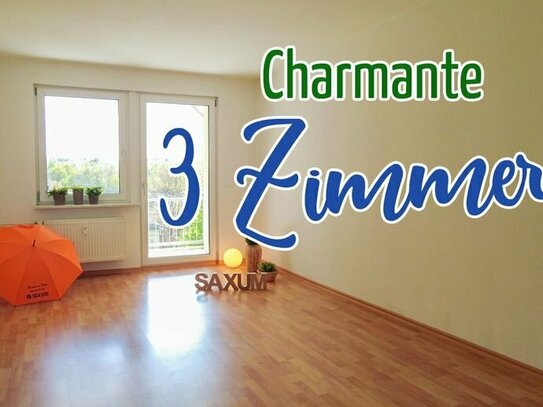Charmante 3 Zimmer Wohnung in ruhiger Lage auf dem beliebten Kaßberg!