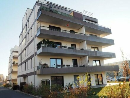 schöne 3 Raumwohnung auf der Dresdner Südhöhe zu vermieten