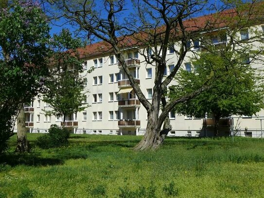 Kleine Wohnung in Stadtbusnähe