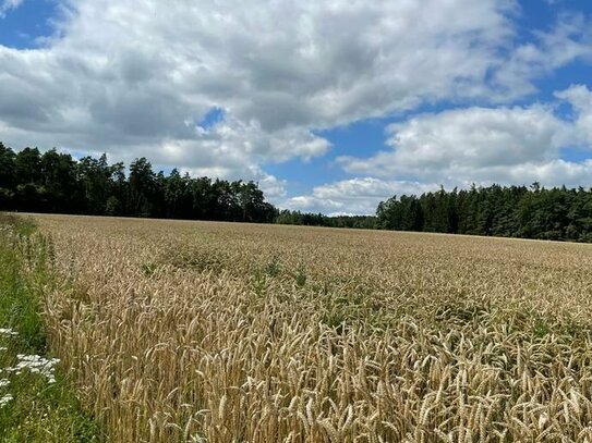 Landwirtschaftliche Fläche Nähe Simbach bei Landau