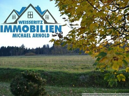 Wohnen in Altenberg , Erzgeb (01773)