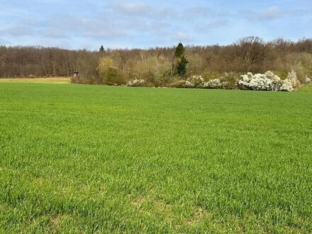 Land- und forstwirtschaftliche Flächen in Swisttal