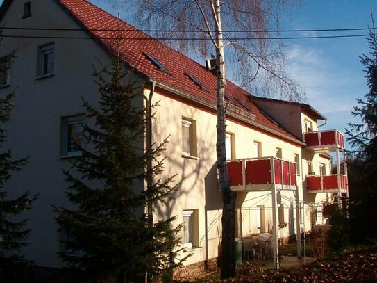 3 Zi. Erdgeschoß Wohnung mit Terrasse in Colditz-Erlbach