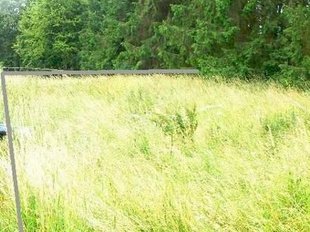 Lissendorf Baugrundstück Ecklage Erschlossen gerader Schnitt