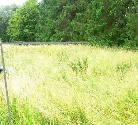 Lissendorf Baugrundstück Ecklage Erschlossen gerader Schnitt